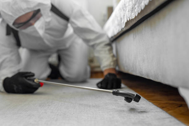 Professional Cockroach Control technician working in Clymer, PA